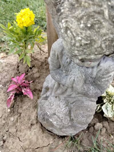 Woof Inn - Mingo Junction, OH