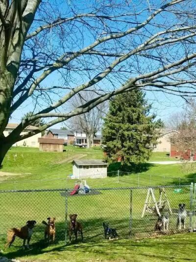 Woof Inn - Mingo Junction, OH