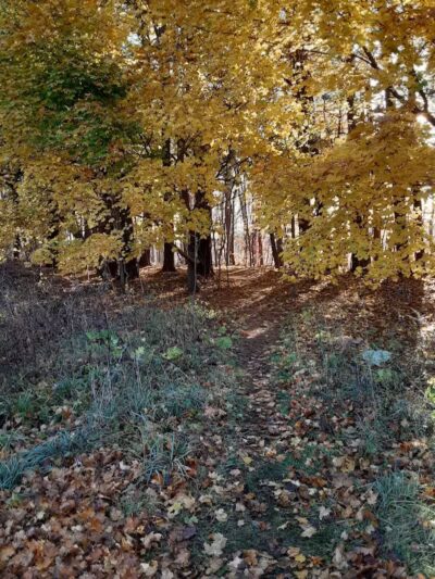 Mogadore Reservoir - Mogadore, OH
