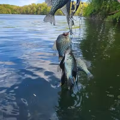 Mogadore Reservoir - Mogadore, OH