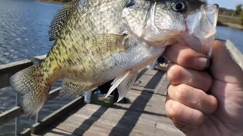 Mogadore Reservoir - Mogadore, OH