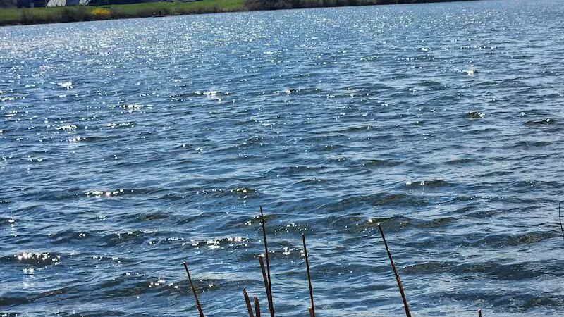 Wingfoot Lake State Park - Mogadore, OH