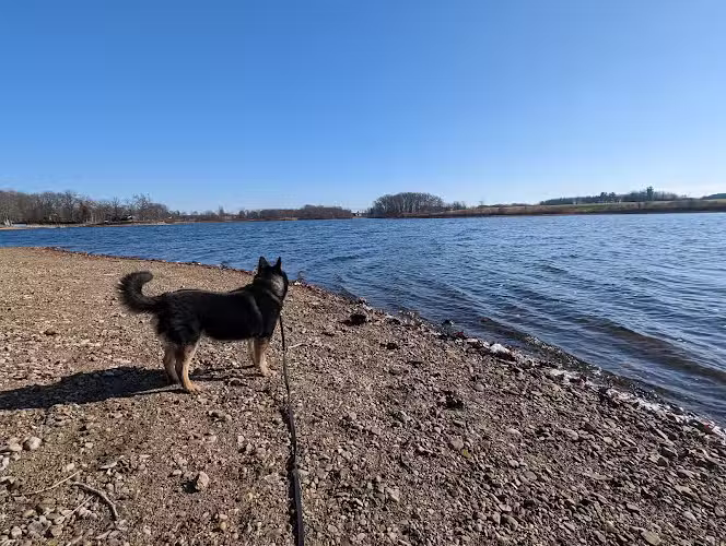Wingfoot Lake State Park - Mogadore, OH