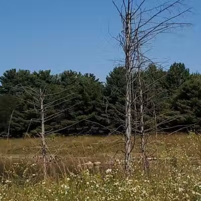 Cannonball Prairie Metropark - Monclova Township, OH