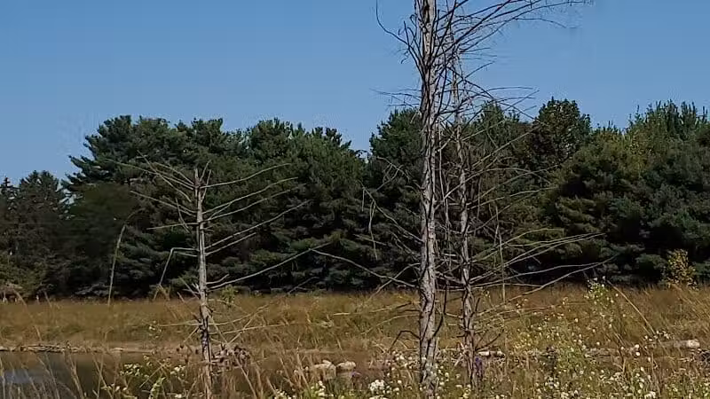Cannonball Prairie Metropark - Monclova Township, OH