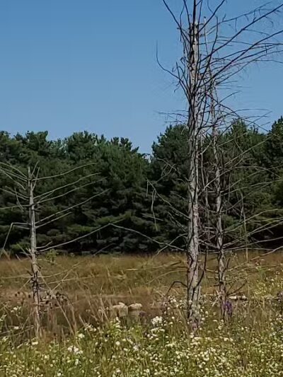 Cannonball Prairie Metropark - Monclova Township, OH