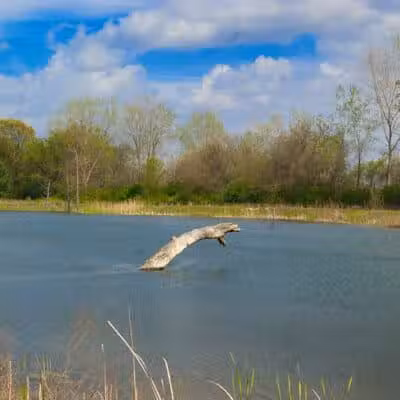 Cannonball Prairie Metropark - Monclova Township, OH