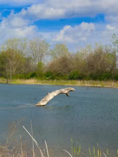 Cannonball Prairie Metropark - Monclova Township, OH