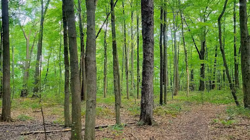 Cannonball Prairie Metropark - Monclova Township, OH