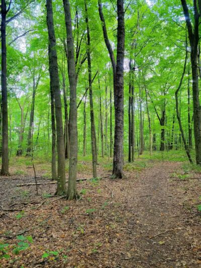 Cannonball Prairie Metropark - Monclova Township, OH