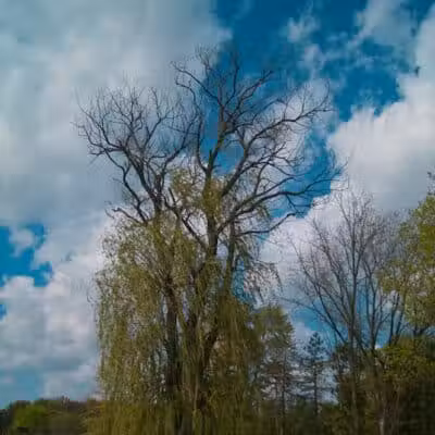 Cannonball Prairie Metropark - Monclova Township, OH