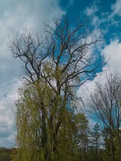 Cannonball Prairie Metropark - Monclova Township, OH