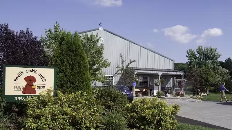 Rover Come Over Doggy Daycare - Monclova Township, OH