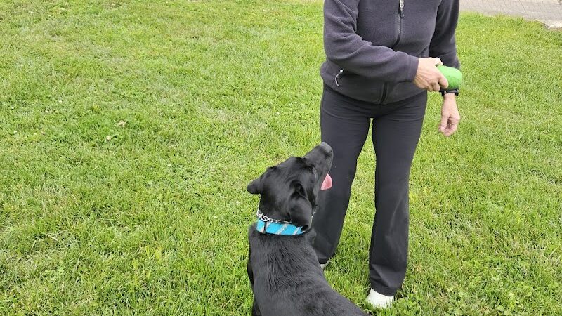 MonRover - Monroe, OH