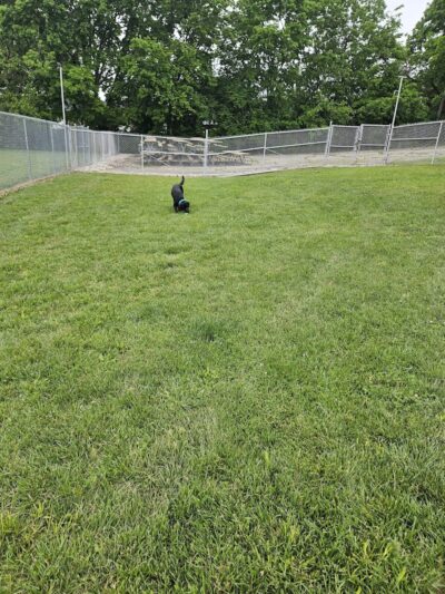 MonRover - Monroe, OH