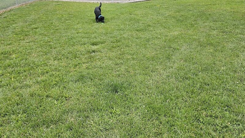 MonRover - Monroe, OH