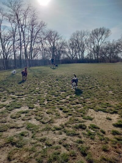 MonRover - Monroe, OH