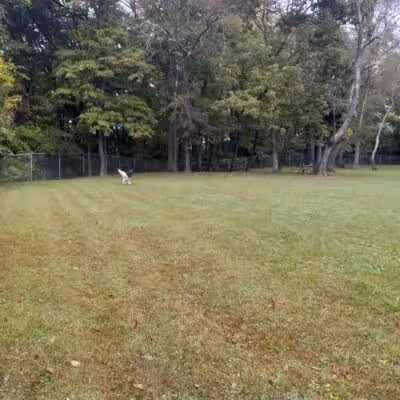 Monroeville Dog Park - Monroeville, PA