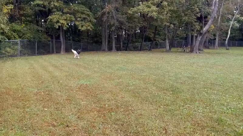 Monroeville Dog Park - Monroeville, PA