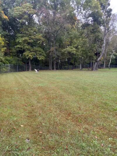 Monroeville Dog Park - Monroeville, PA