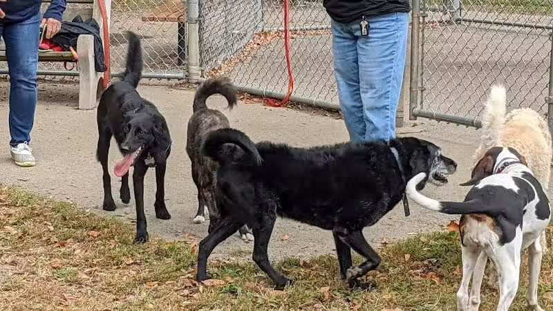 Monroeville Dog Park - Monroeville, PA