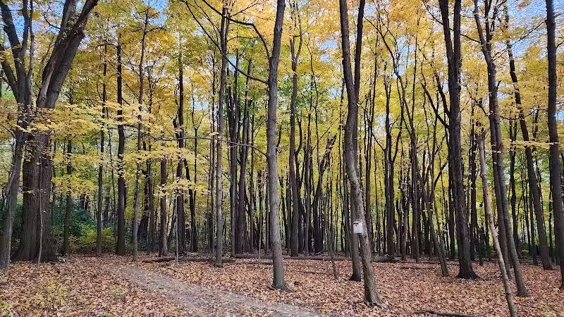 Monroeville Dog Park - Monroeville, PA