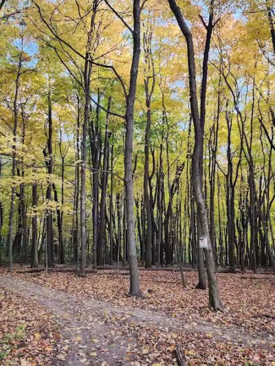 Monroeville Dog Park - Monroeville, PA