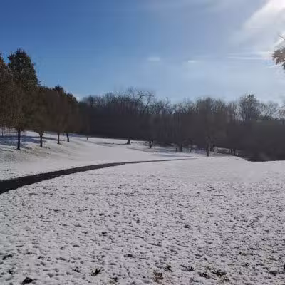 Monroeville Dog Park - Monroeville, PA
