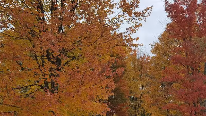 Monroeville Dog Park - Monroeville, PA