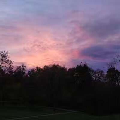 Monroeville Dog Park - Monroeville, PA