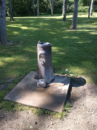 Hueston Woods Dog Park - Morning Sun, OH