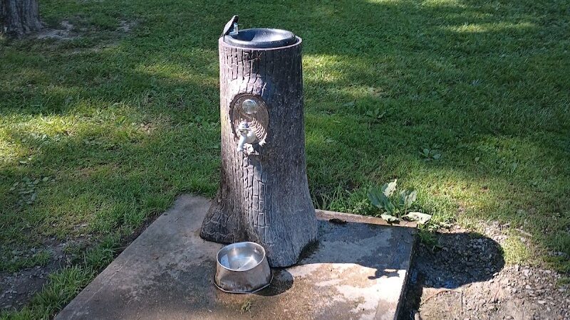 Hueston Woods Dog Park - Morning Sun, OH