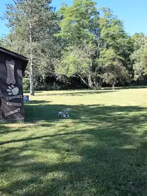 Hueston Woods Dog Park - Morning Sun, OH