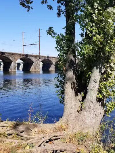 Morrisville Dog Park - Morrisville, PA