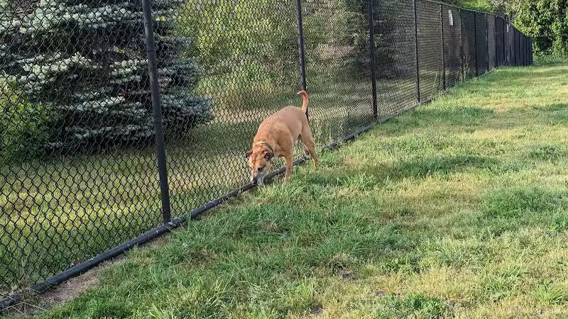 Morrisville Dog Park - Morrisville, PA