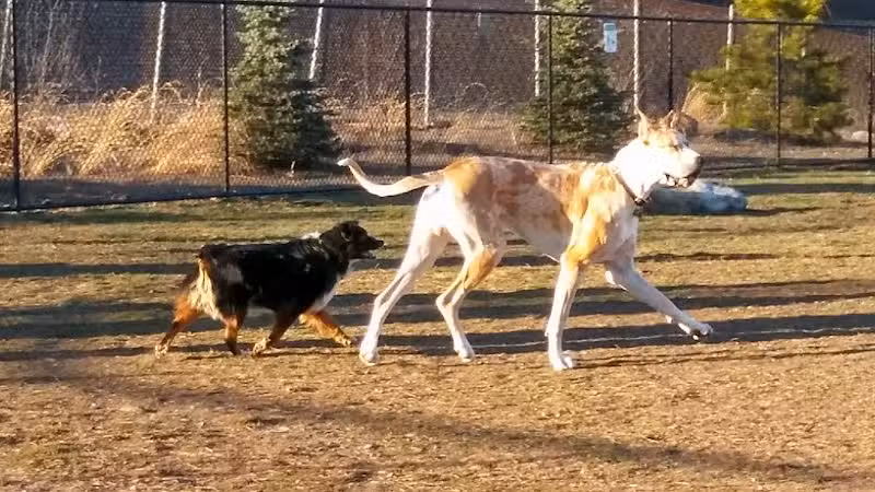 Morrisville Dog Park - Morrisville, PA