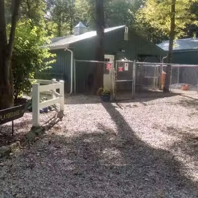 Country Lane Pet Resort - Moscow, OH