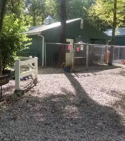 Country Lane Pet Resort - Moscow, OH