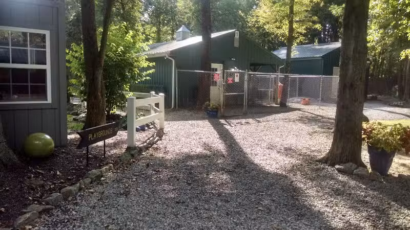 Country Lane Pet Resort - Moscow, OH