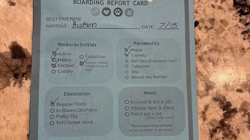 Country Lane Pet Resort - Moscow, OH