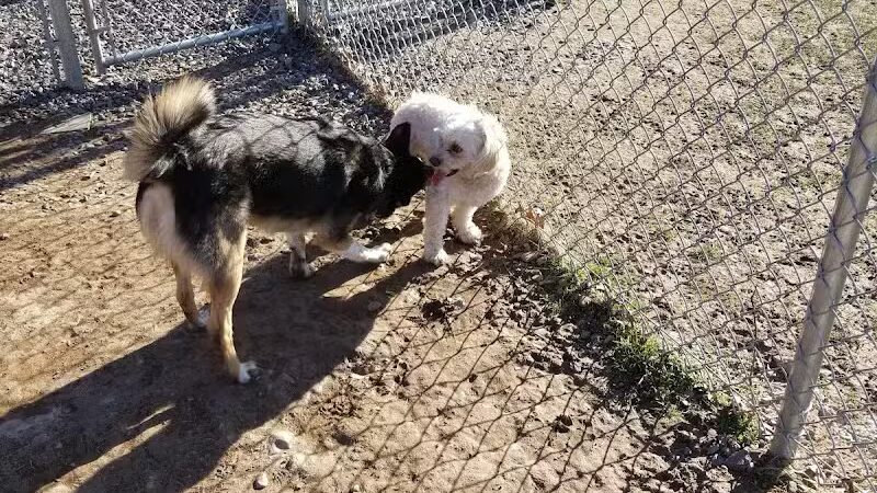 Wright Township Dog Park - Mountain Top, PA