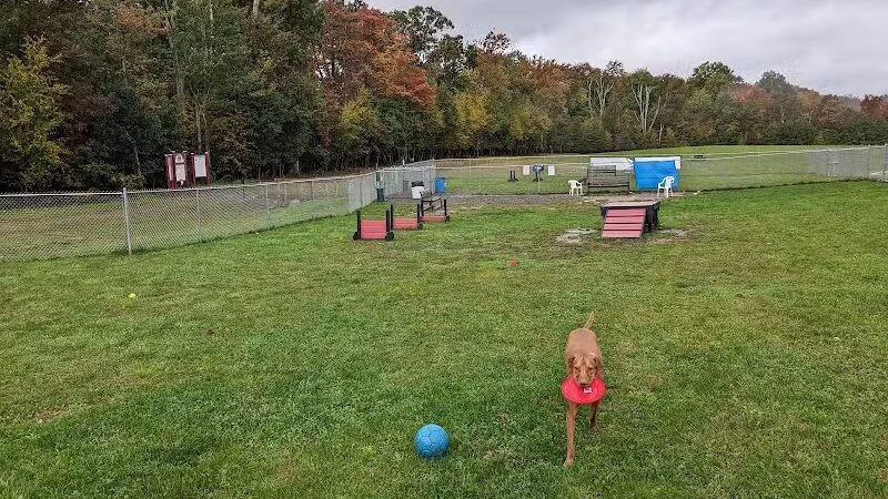 Wright Township Dog Park - Mountain Top, PA