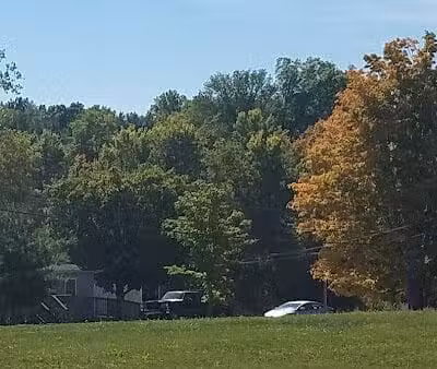 Morrow County Dog Shelter - Mt Gilead, OH