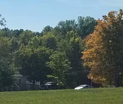 Morrow County Dog Shelter - Mt Gilead, OH