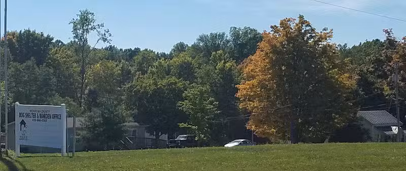 Morrow County Dog Shelter - Mt Gilead, OH