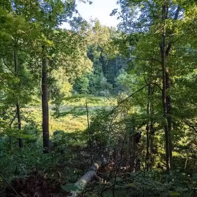 Mt. Gilead State Park - Mt Gilead, OH