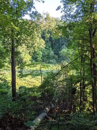 Mt. Gilead State Park - Mt Gilead, OH