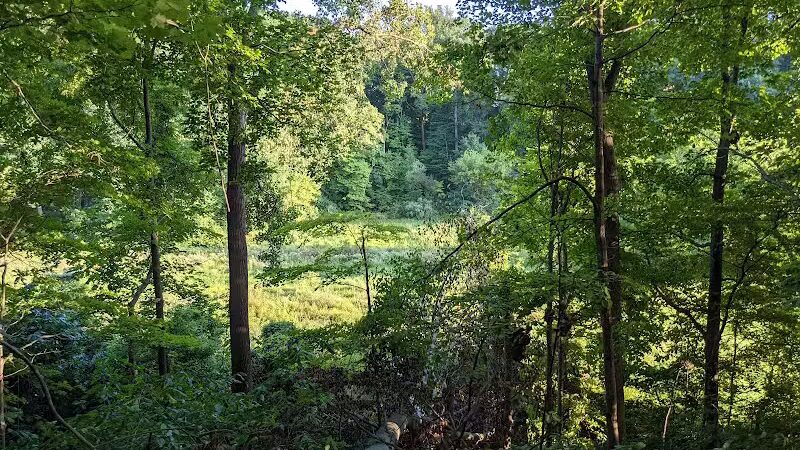Mt. Gilead State Park - Mt Gilead, OH