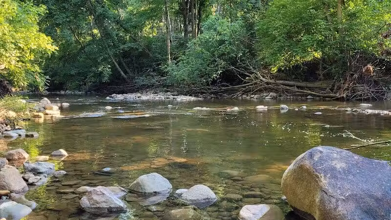 Mt. Gilead State Park - Mt Gilead, OH