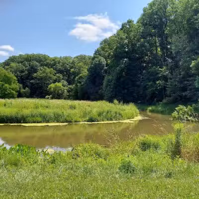 Mt. Gilead State Park - Mt Gilead, OH